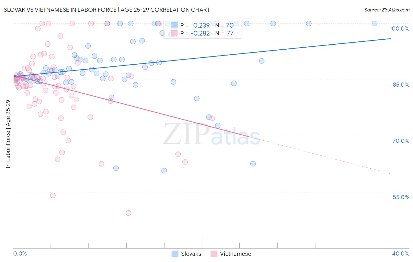 Slovak vs Vietnamese In Labor Force | Age 25-29