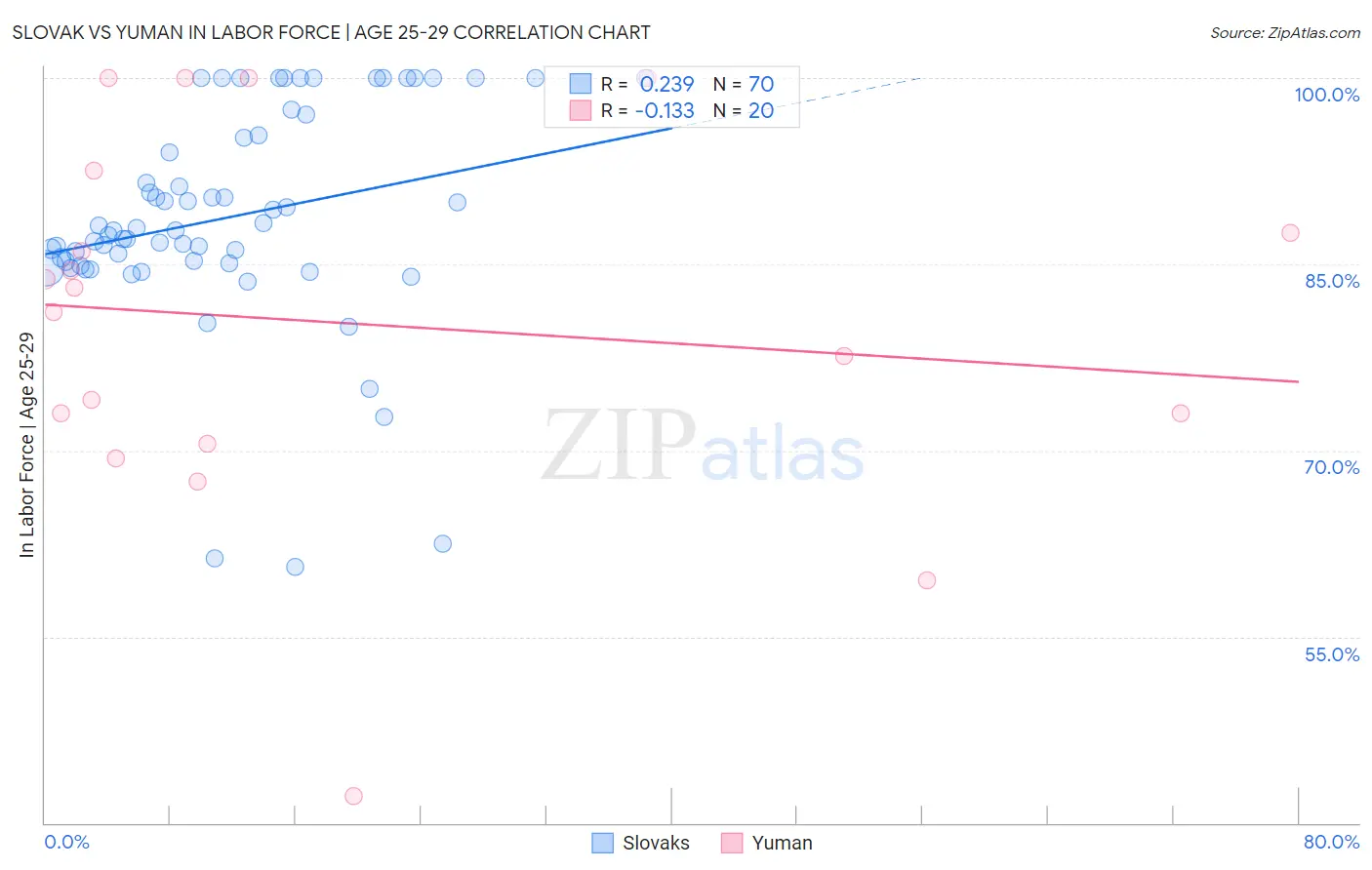Slovak vs Yuman In Labor Force | Age 25-29