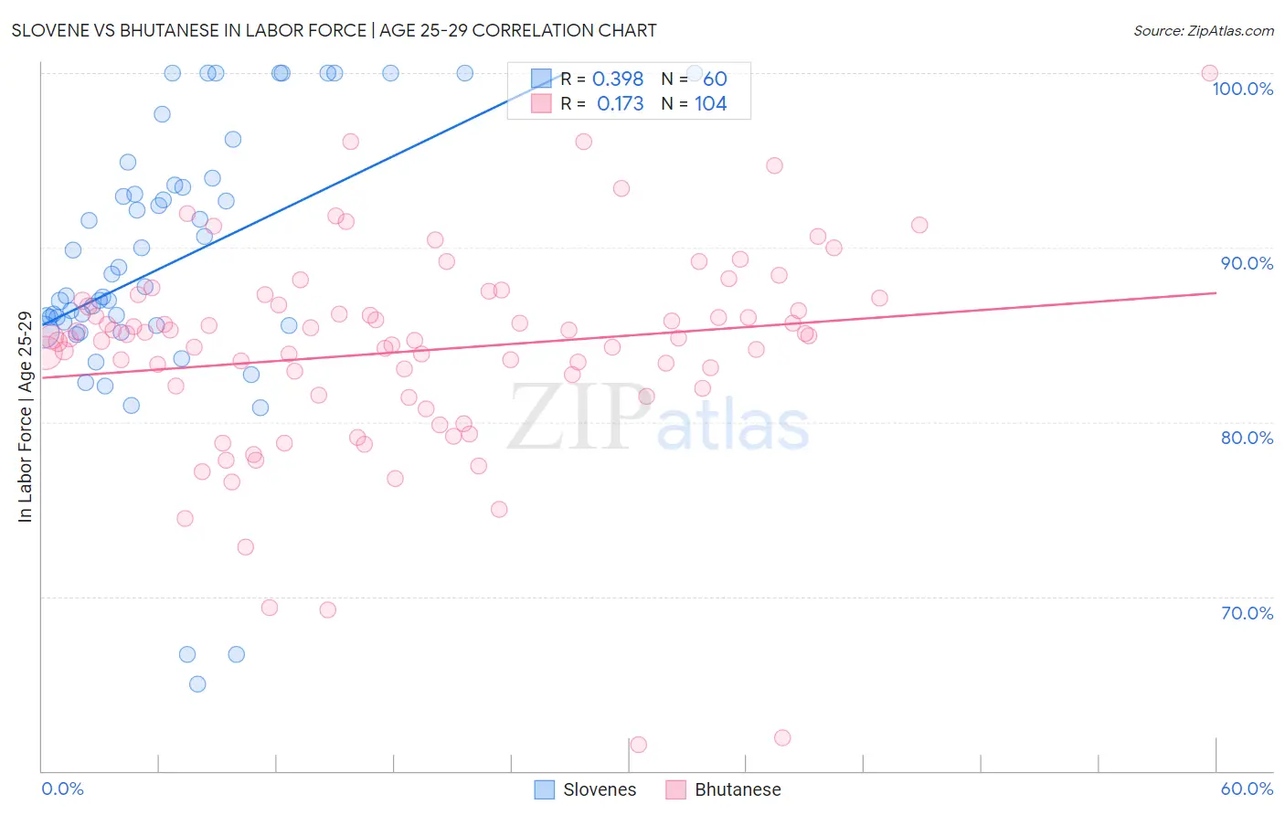 Slovene vs Bhutanese In Labor Force | Age 25-29
