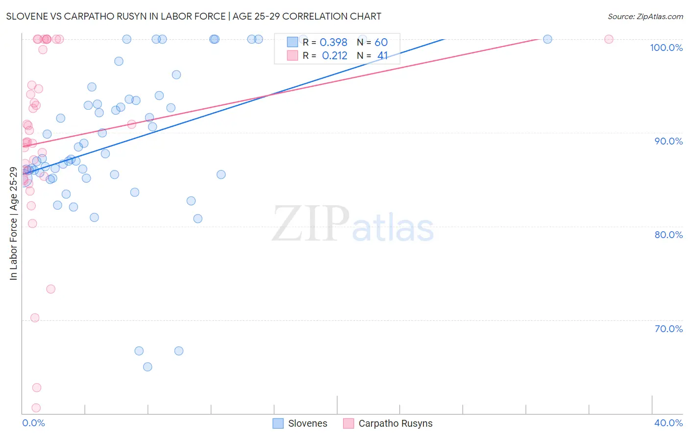 Slovene vs Carpatho Rusyn In Labor Force | Age 25-29