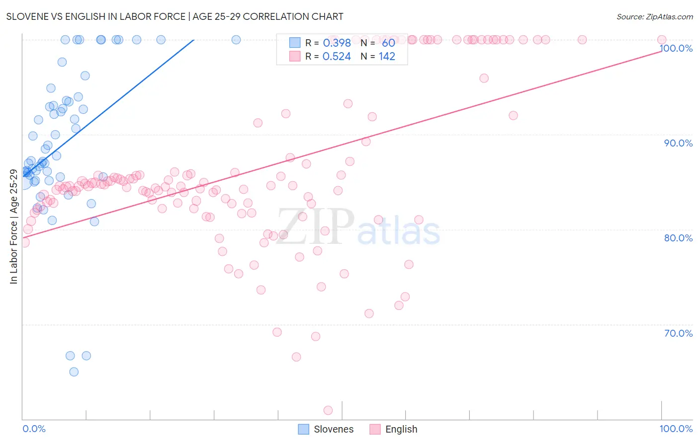 Slovene vs English In Labor Force | Age 25-29
