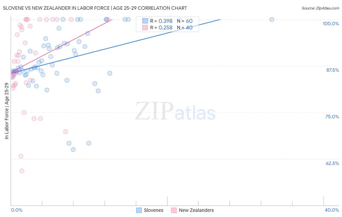 Slovene vs New Zealander In Labor Force | Age 25-29