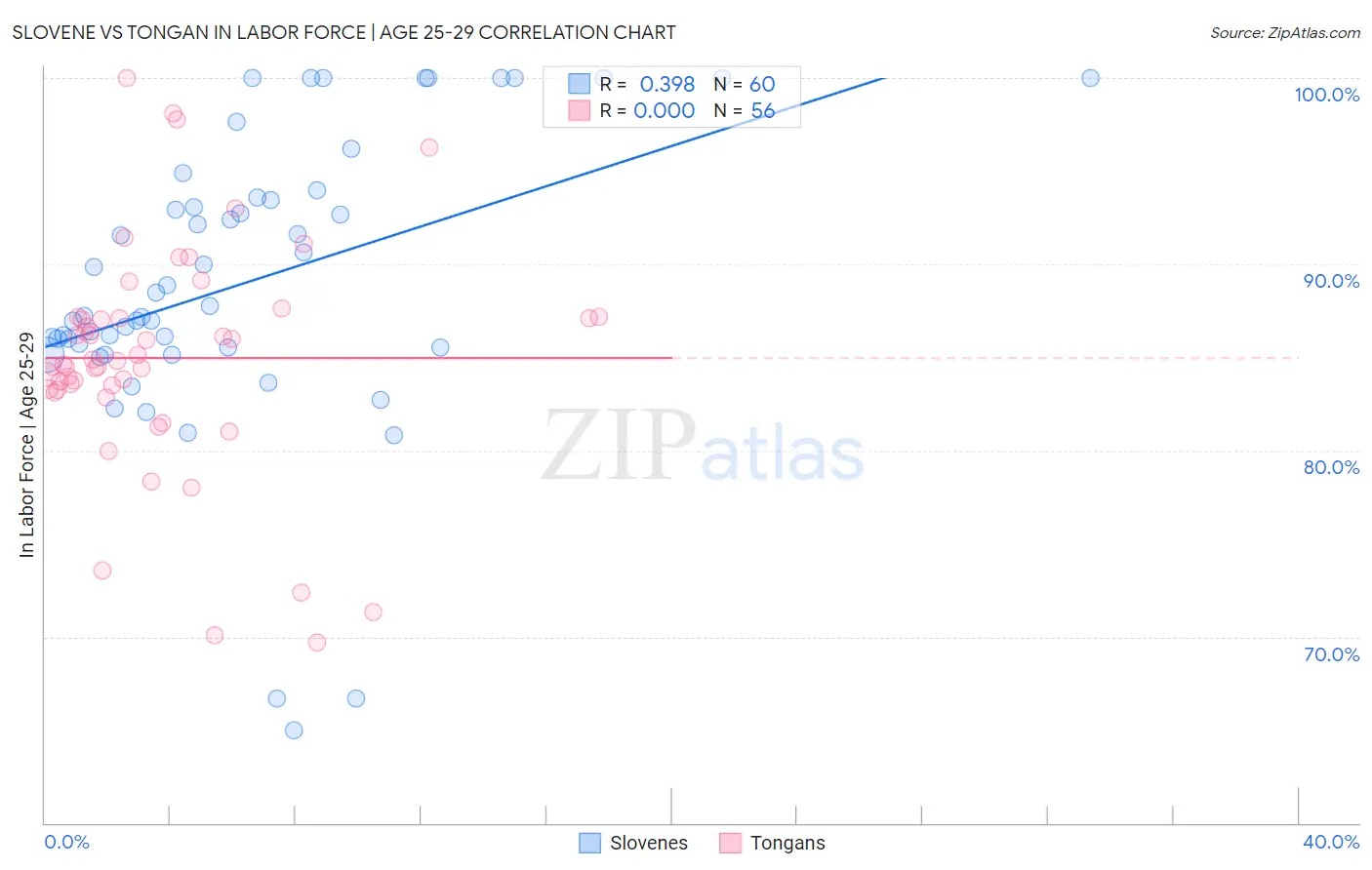 Slovene vs Tongan In Labor Force | Age 25-29