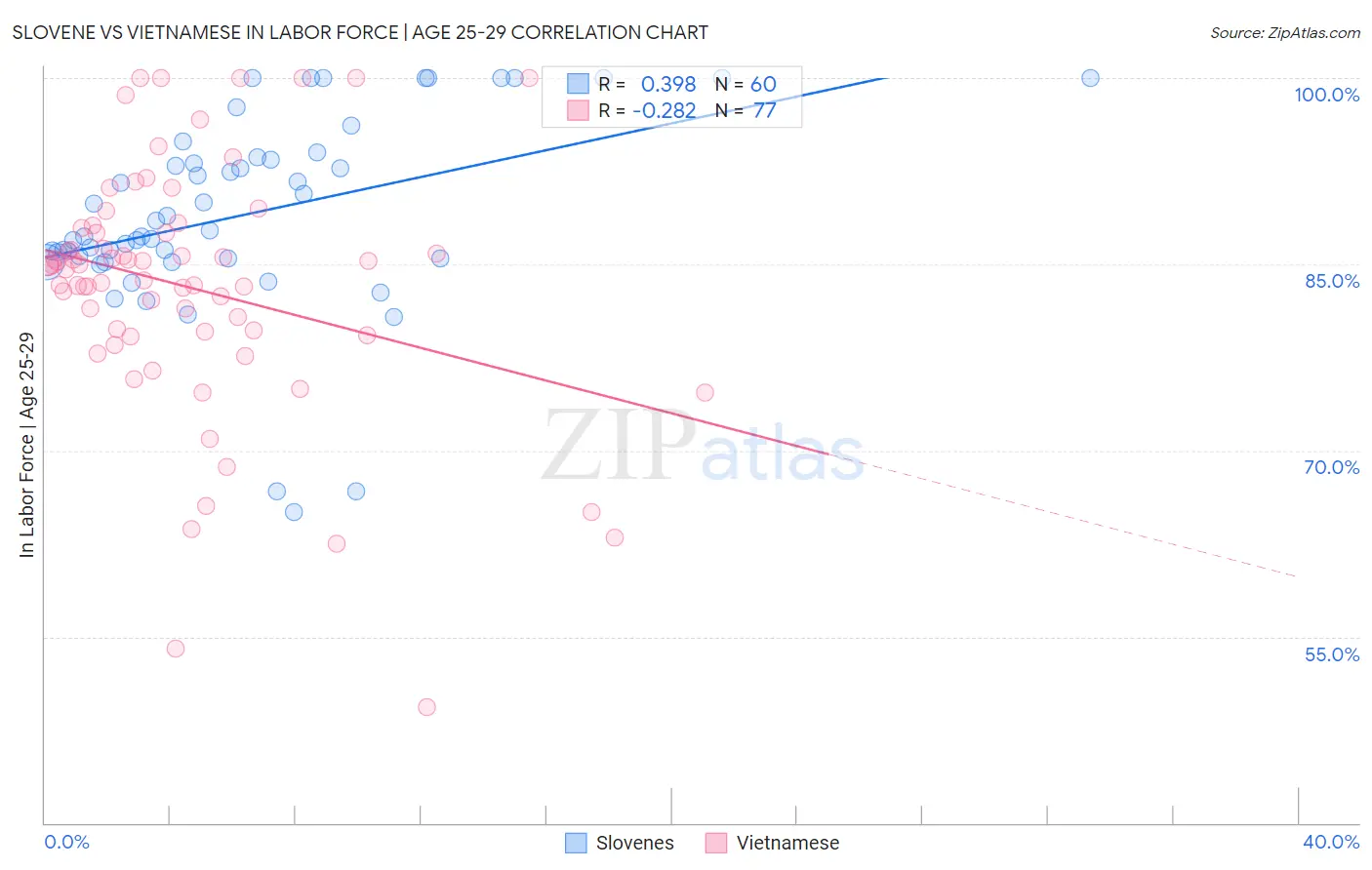 Slovene vs Vietnamese In Labor Force | Age 25-29