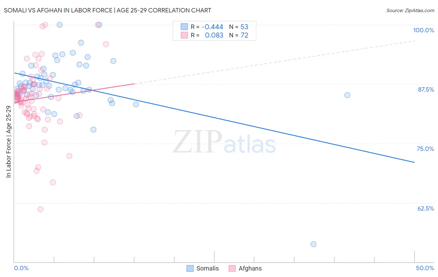 Somali vs Afghan In Labor Force | Age 25-29