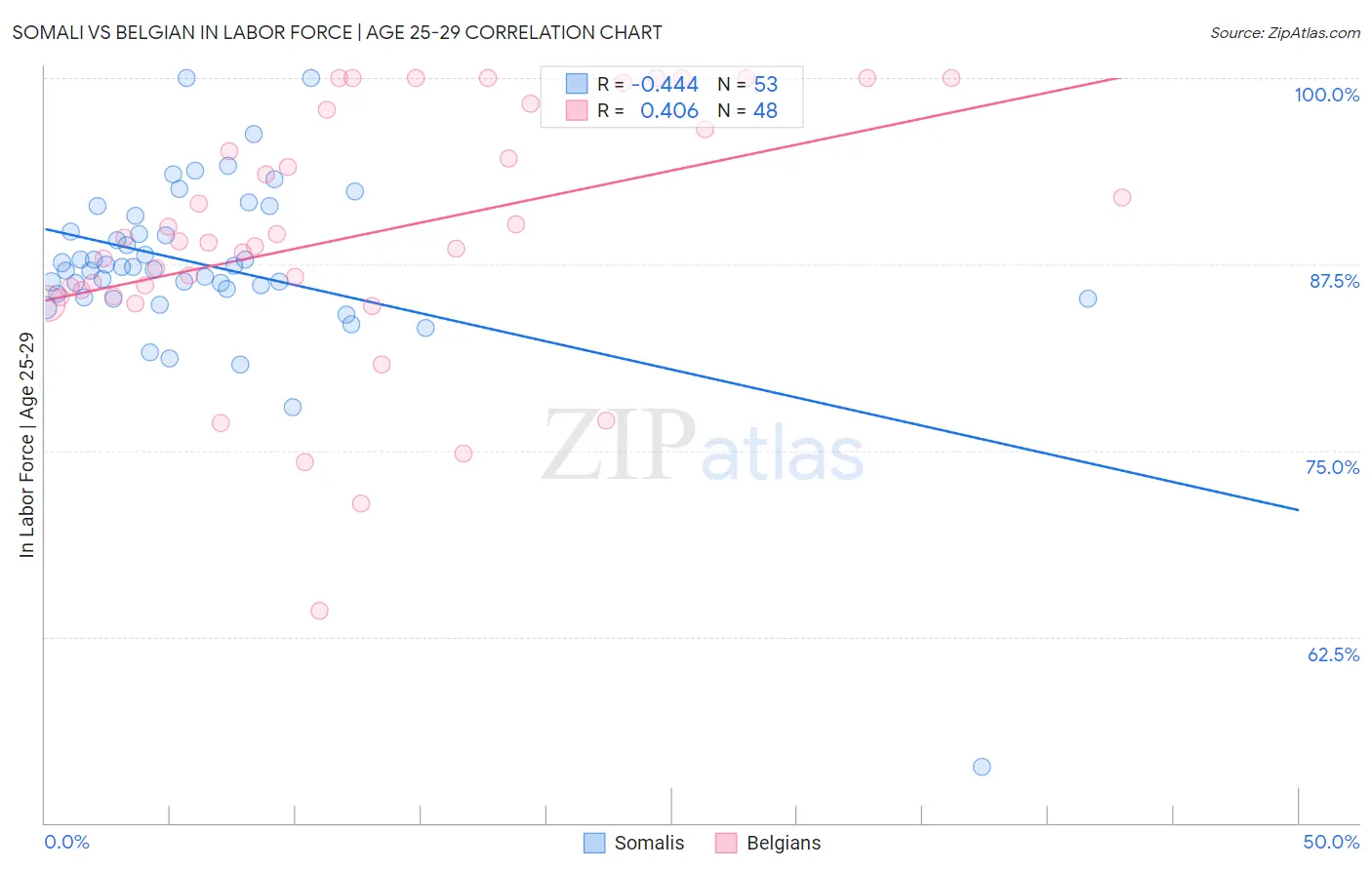 Somali vs Belgian In Labor Force | Age 25-29