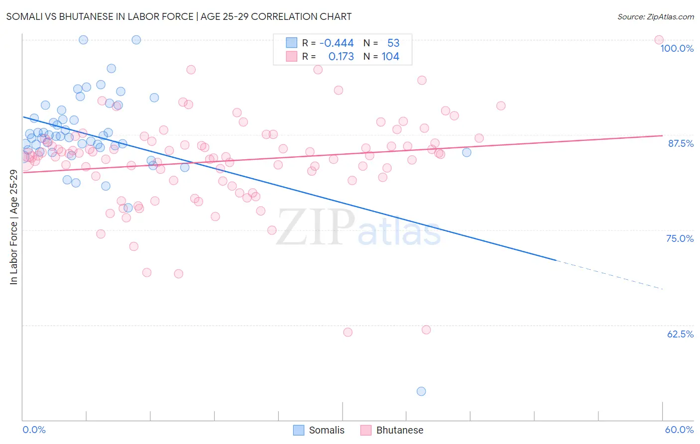 Somali vs Bhutanese In Labor Force | Age 25-29