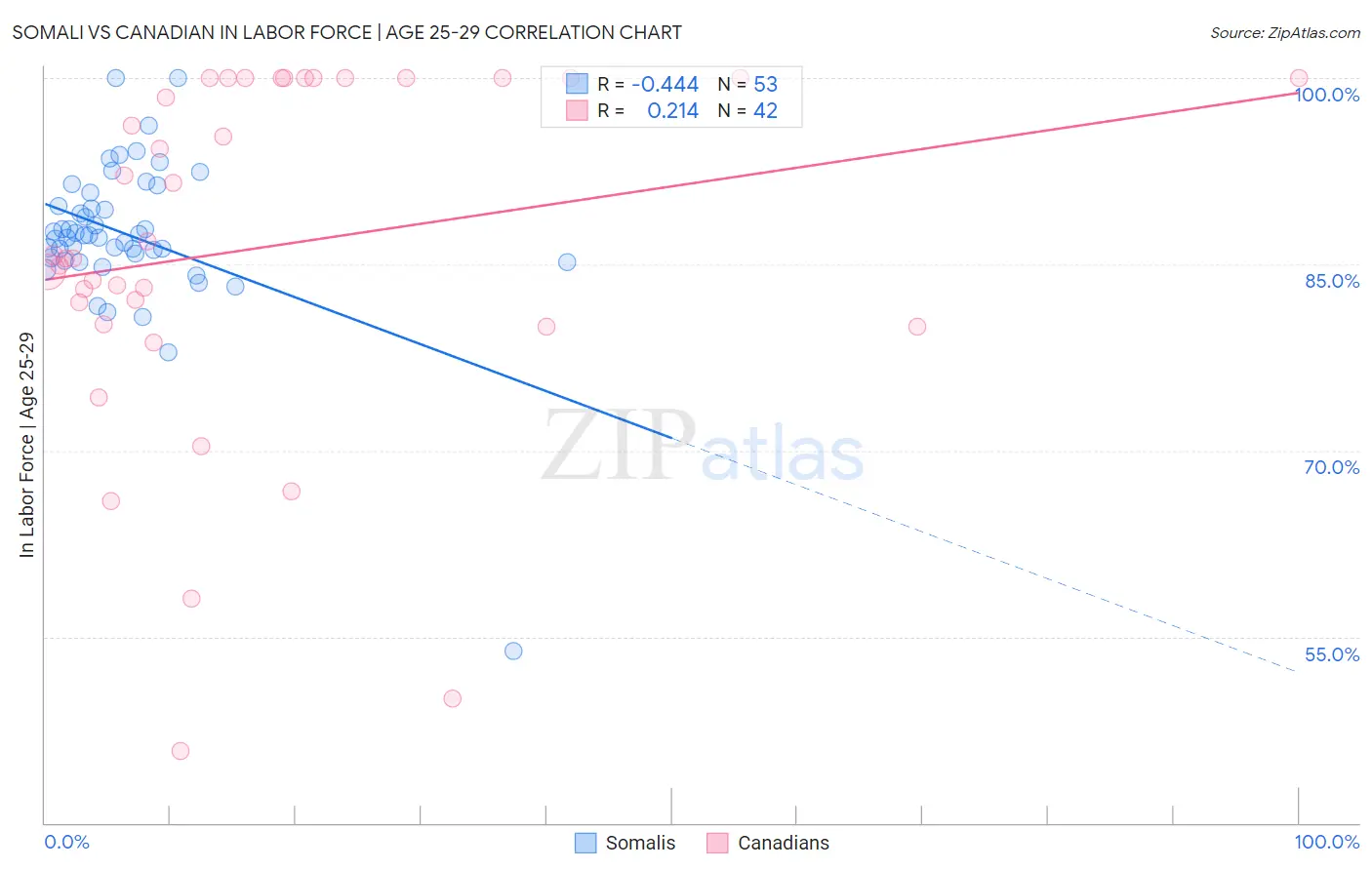 Somali vs Canadian In Labor Force | Age 25-29
