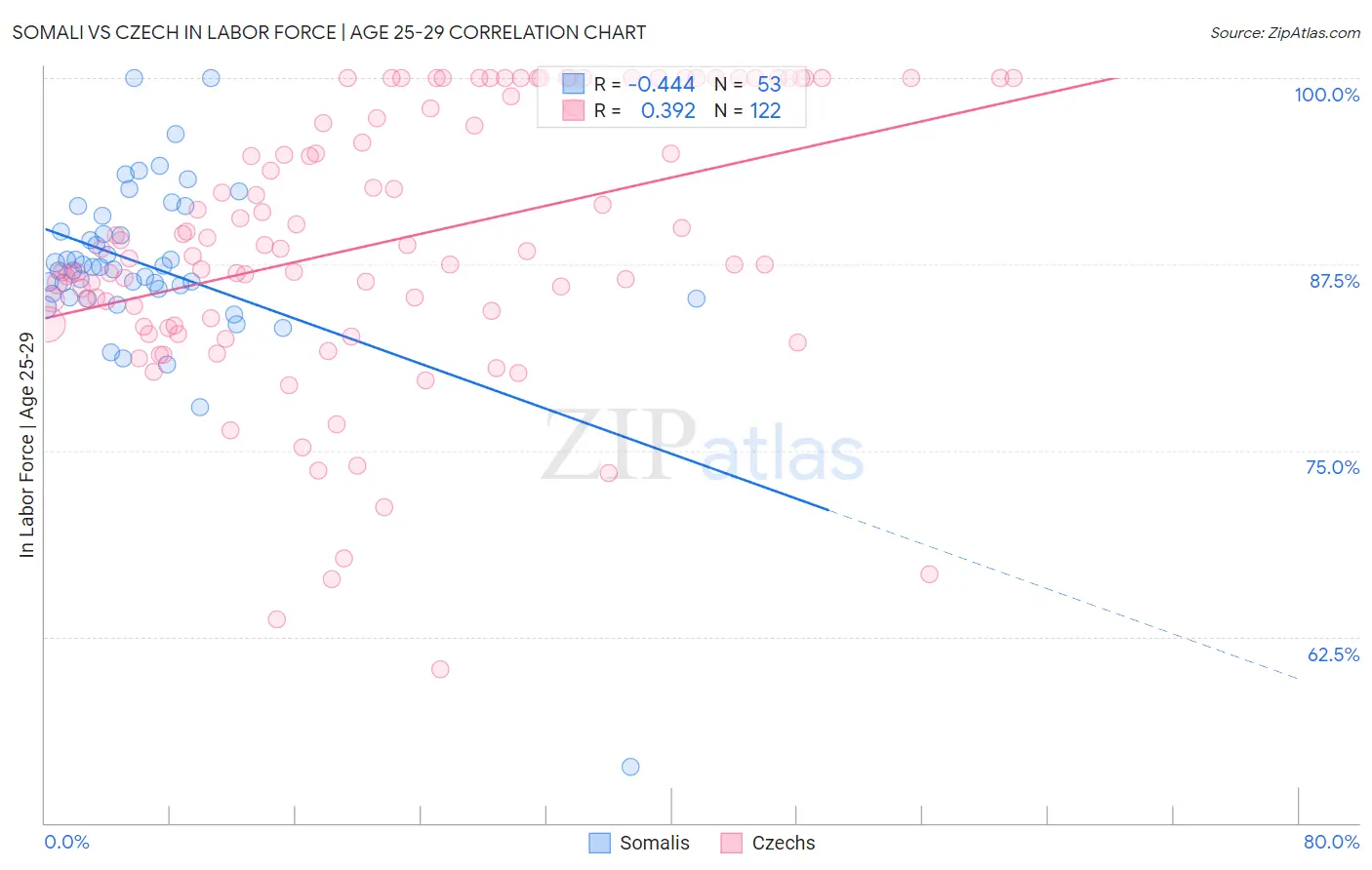 Somali vs Czech In Labor Force | Age 25-29