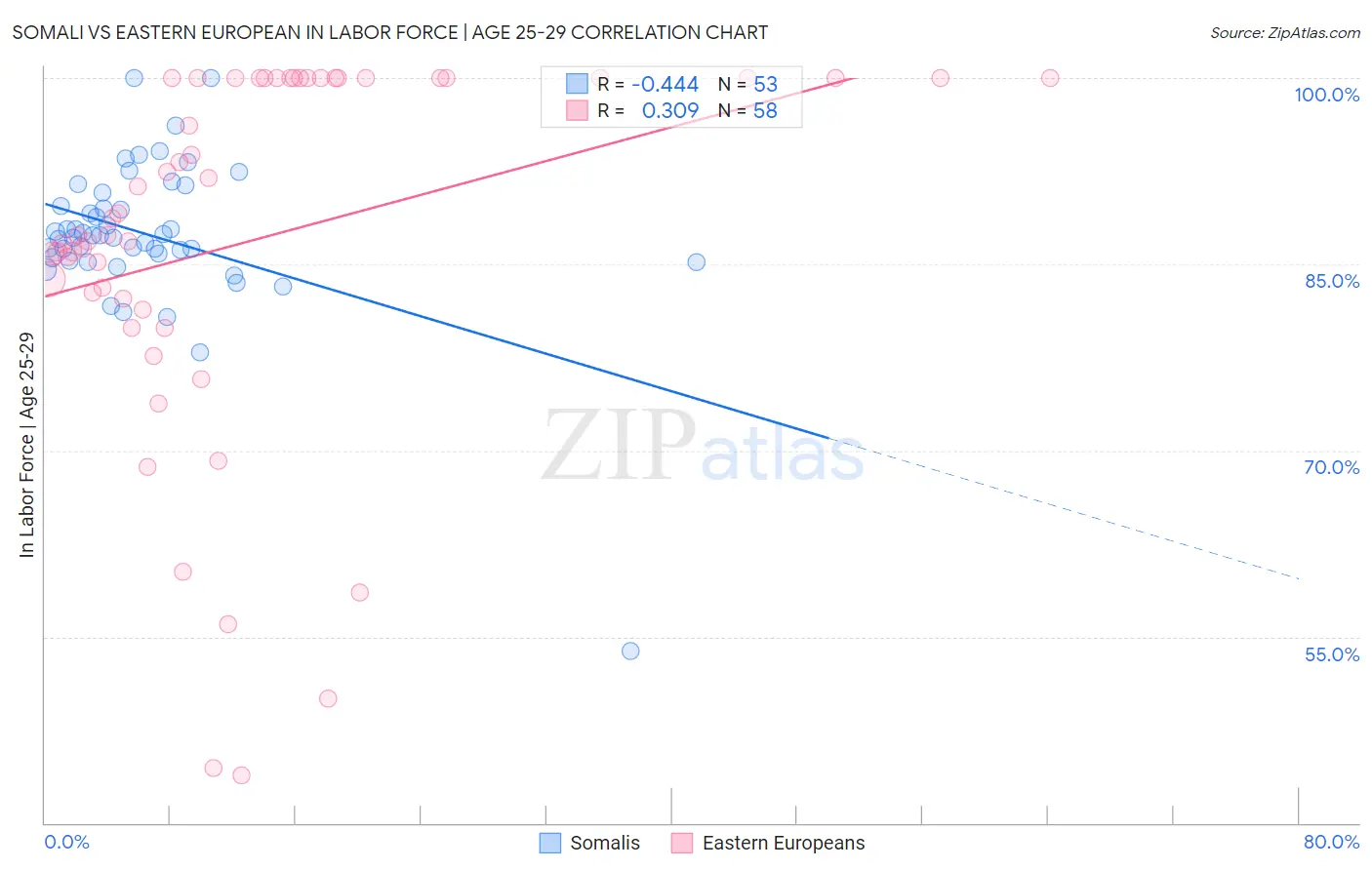 Somali vs Eastern European In Labor Force | Age 25-29