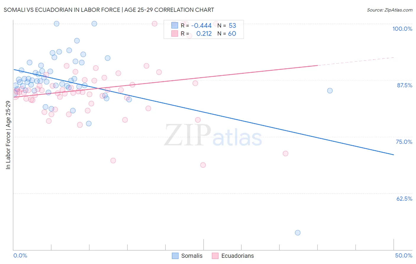 Somali vs Ecuadorian In Labor Force | Age 25-29