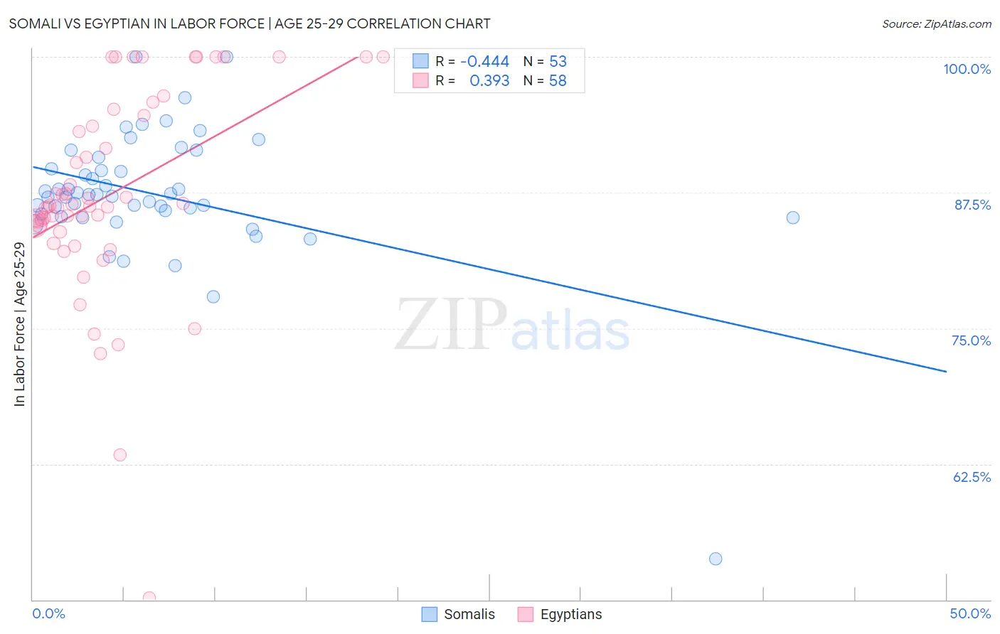 Somali vs Egyptian In Labor Force | Age 25-29
