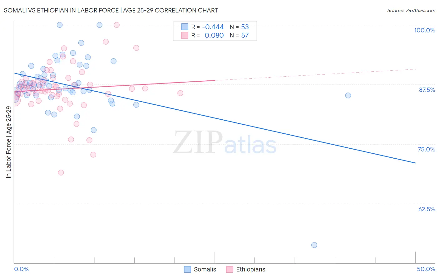 Somali vs Ethiopian In Labor Force | Age 25-29