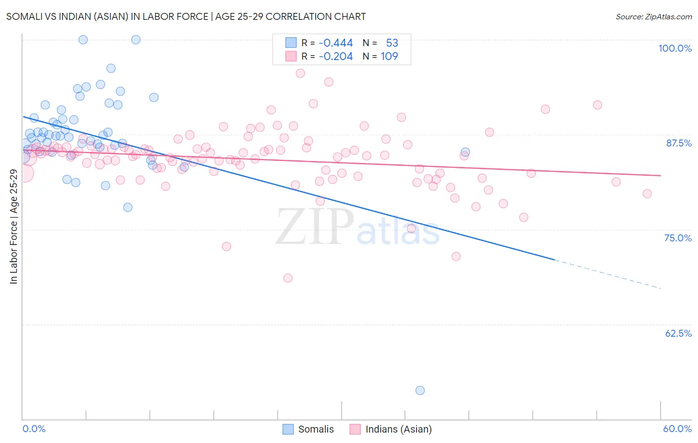 Somali vs Indian (Asian) In Labor Force | Age 25-29