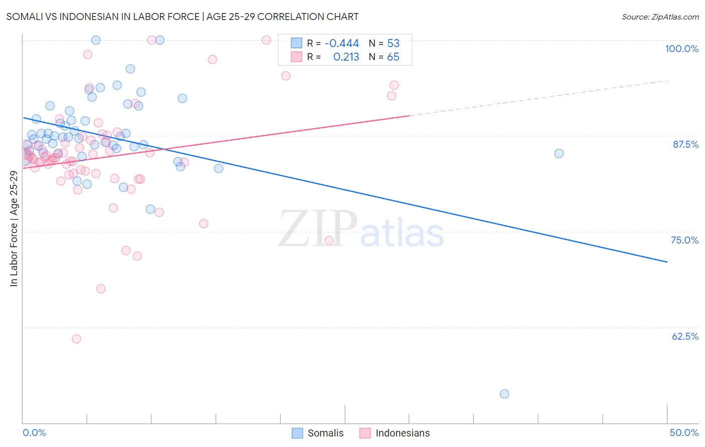 Somali vs Indonesian In Labor Force | Age 25-29