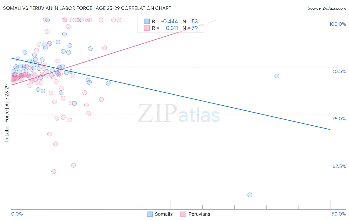 Somali vs Peruvian In Labor Force | Age 25-29