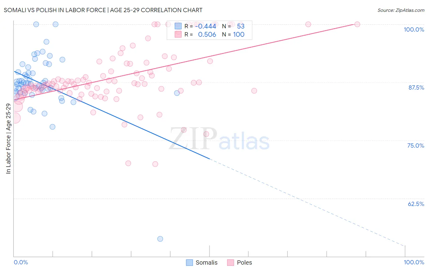Somali vs Polish In Labor Force | Age 25-29