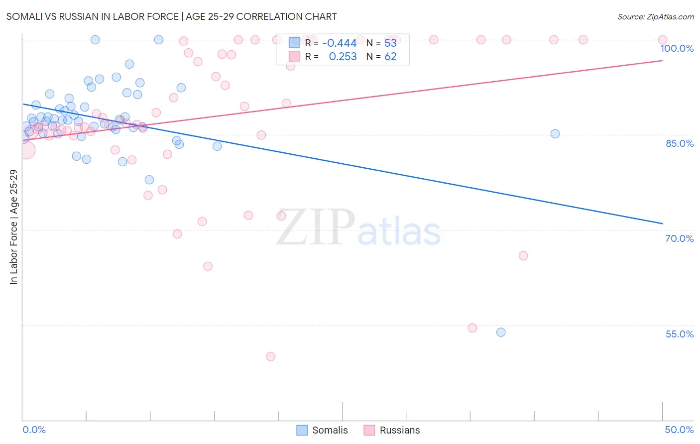 Somali vs Russian In Labor Force | Age 25-29