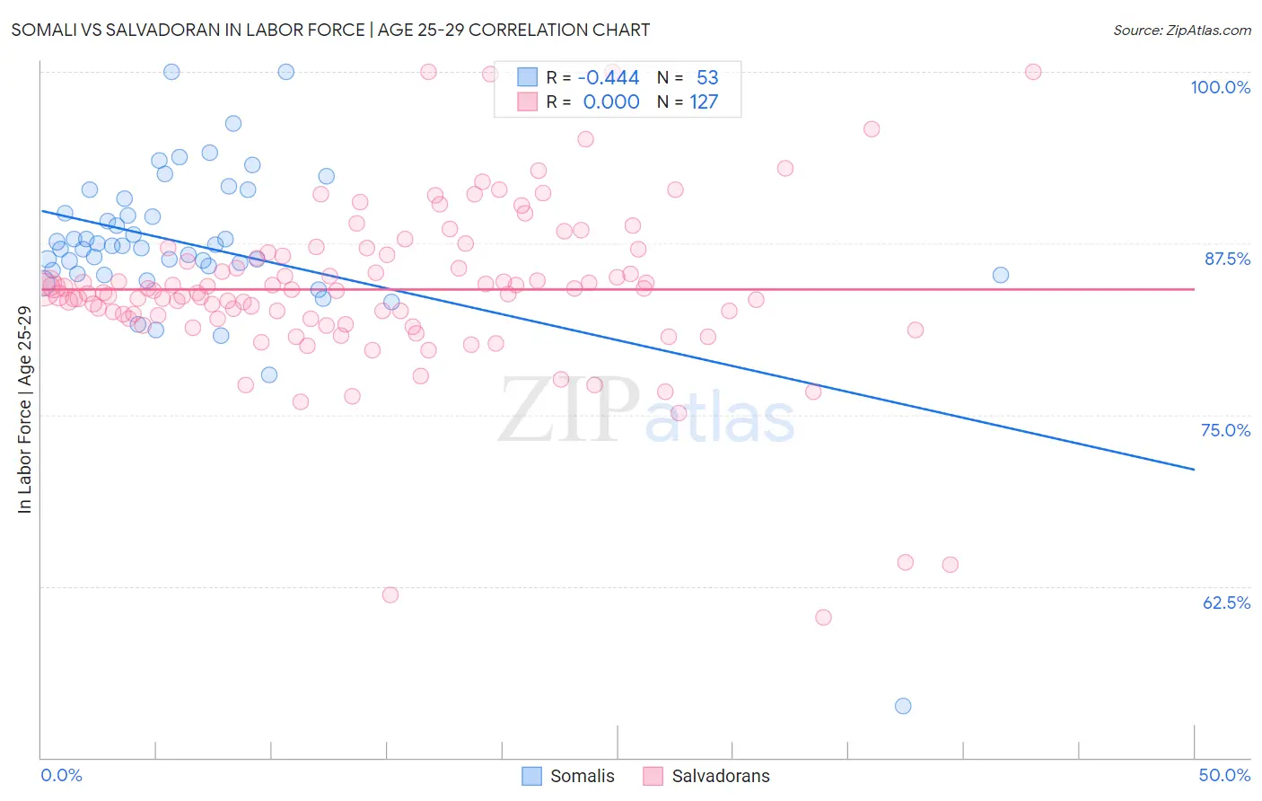 Somali vs Salvadoran In Labor Force | Age 25-29