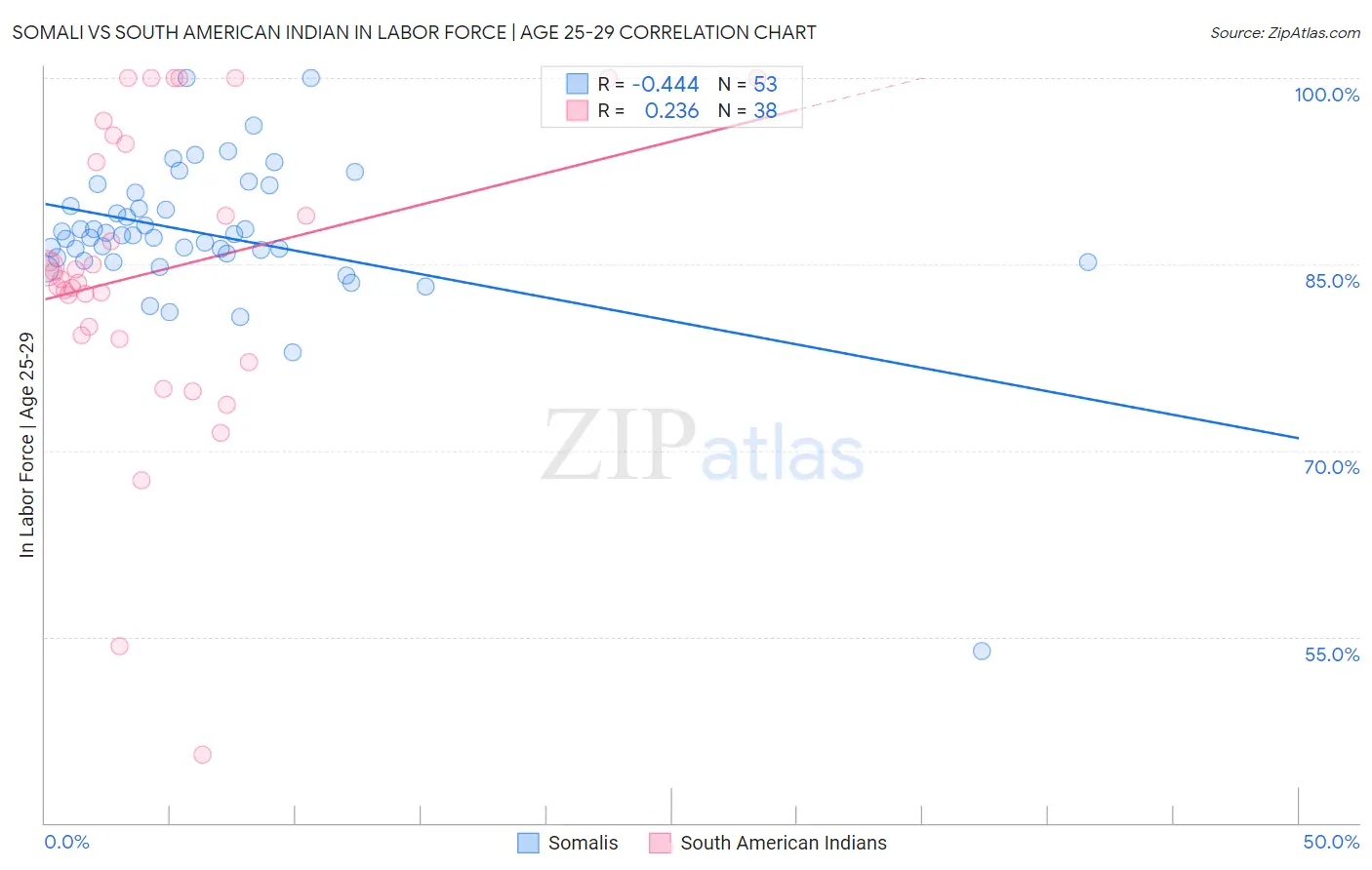 Somali vs South American Indian In Labor Force | Age 25-29