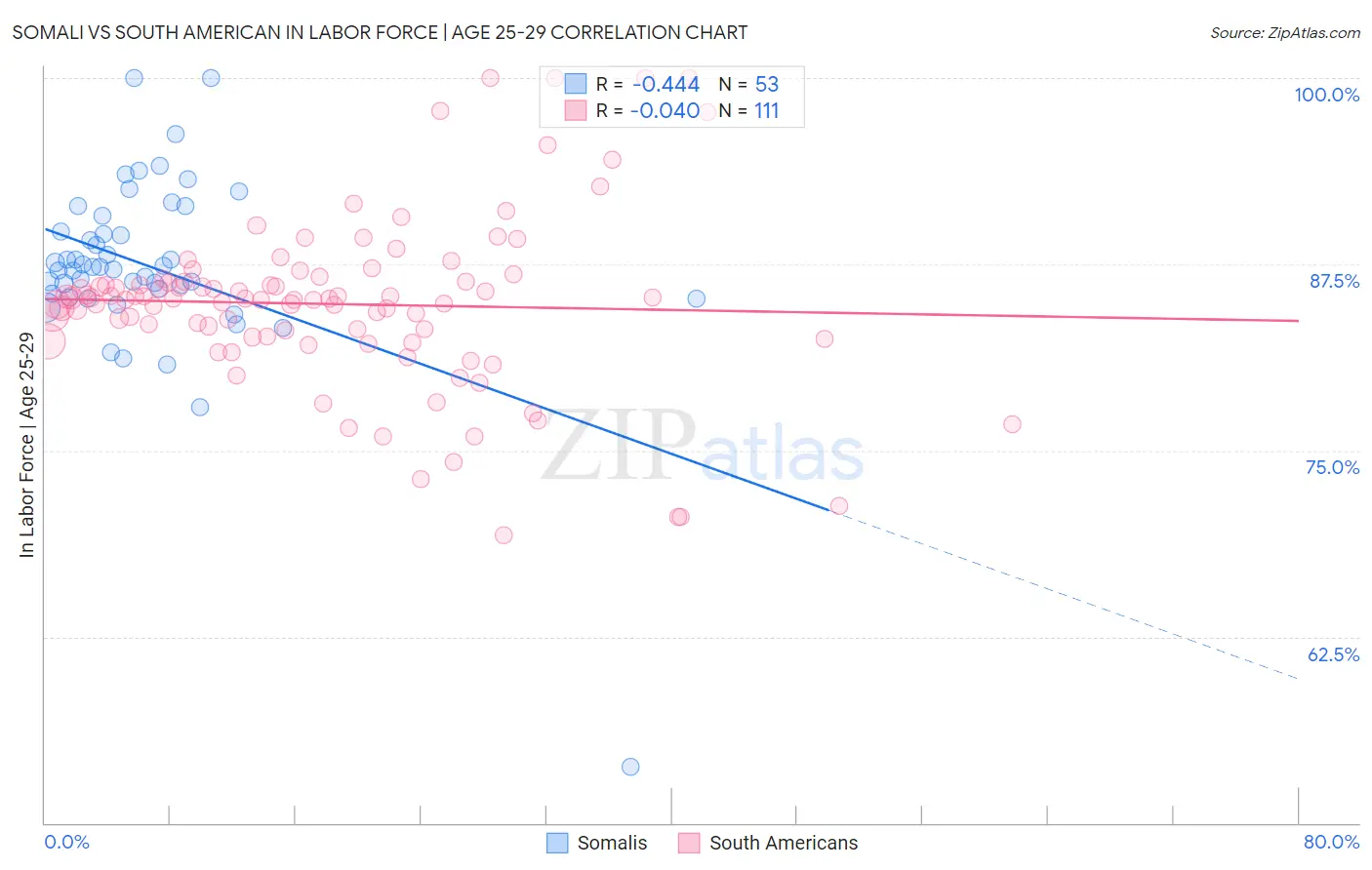 Somali vs South American In Labor Force | Age 25-29