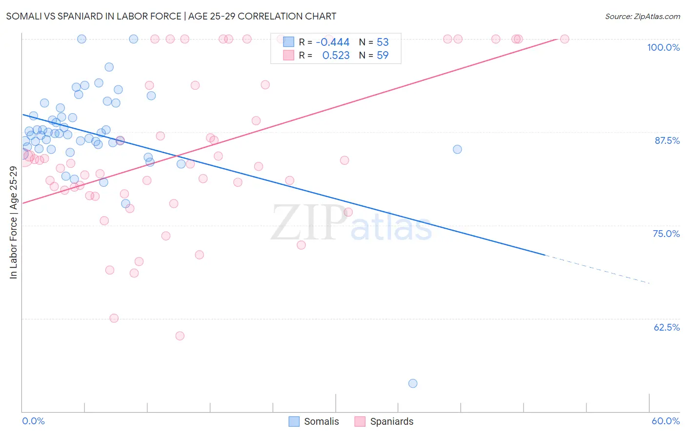 Somali vs Spaniard In Labor Force | Age 25-29