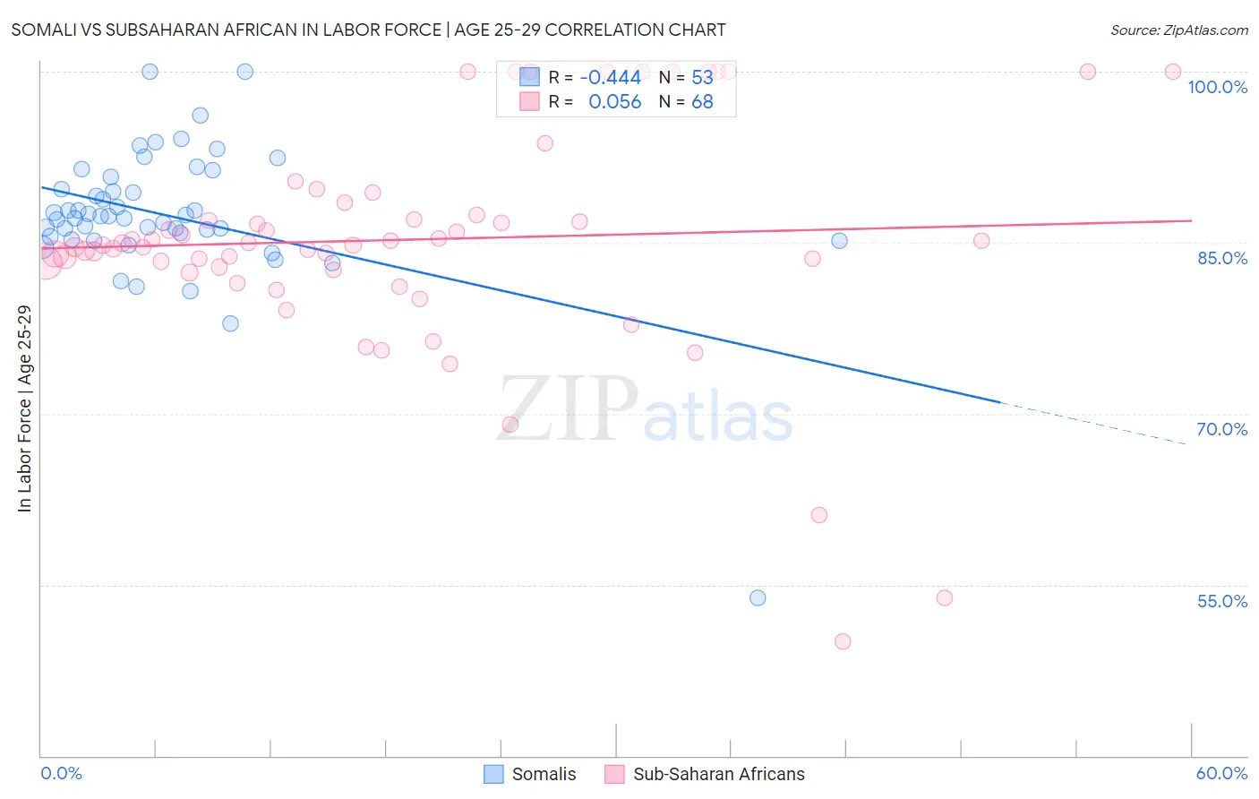 Somali vs Subsaharan African In Labor Force | Age 25-29