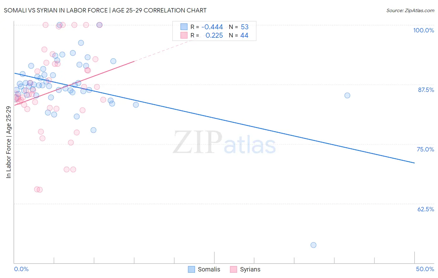 Somali vs Syrian In Labor Force | Age 25-29