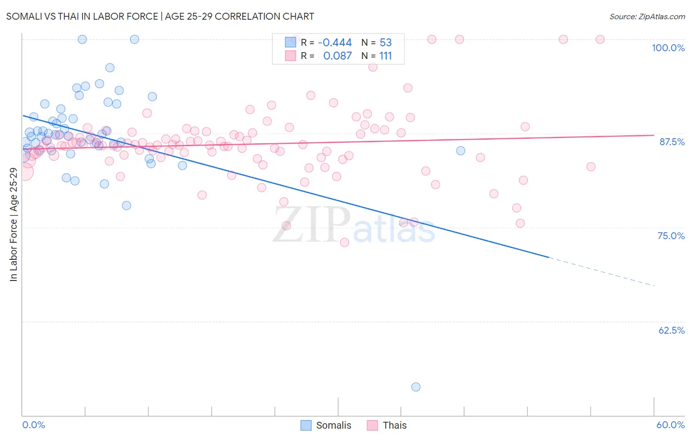 Somali vs Thai In Labor Force | Age 25-29