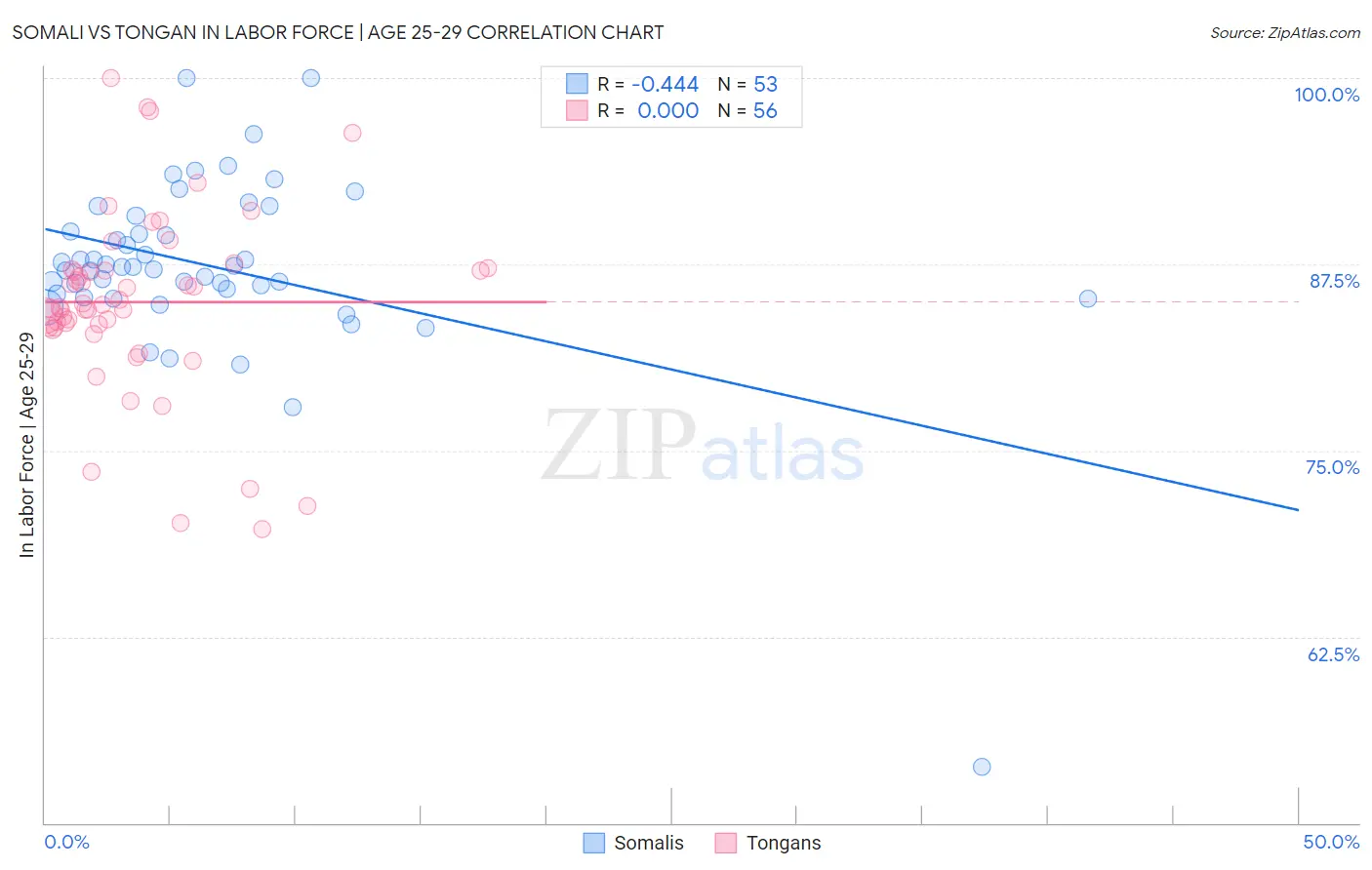 Somali vs Tongan In Labor Force | Age 25-29