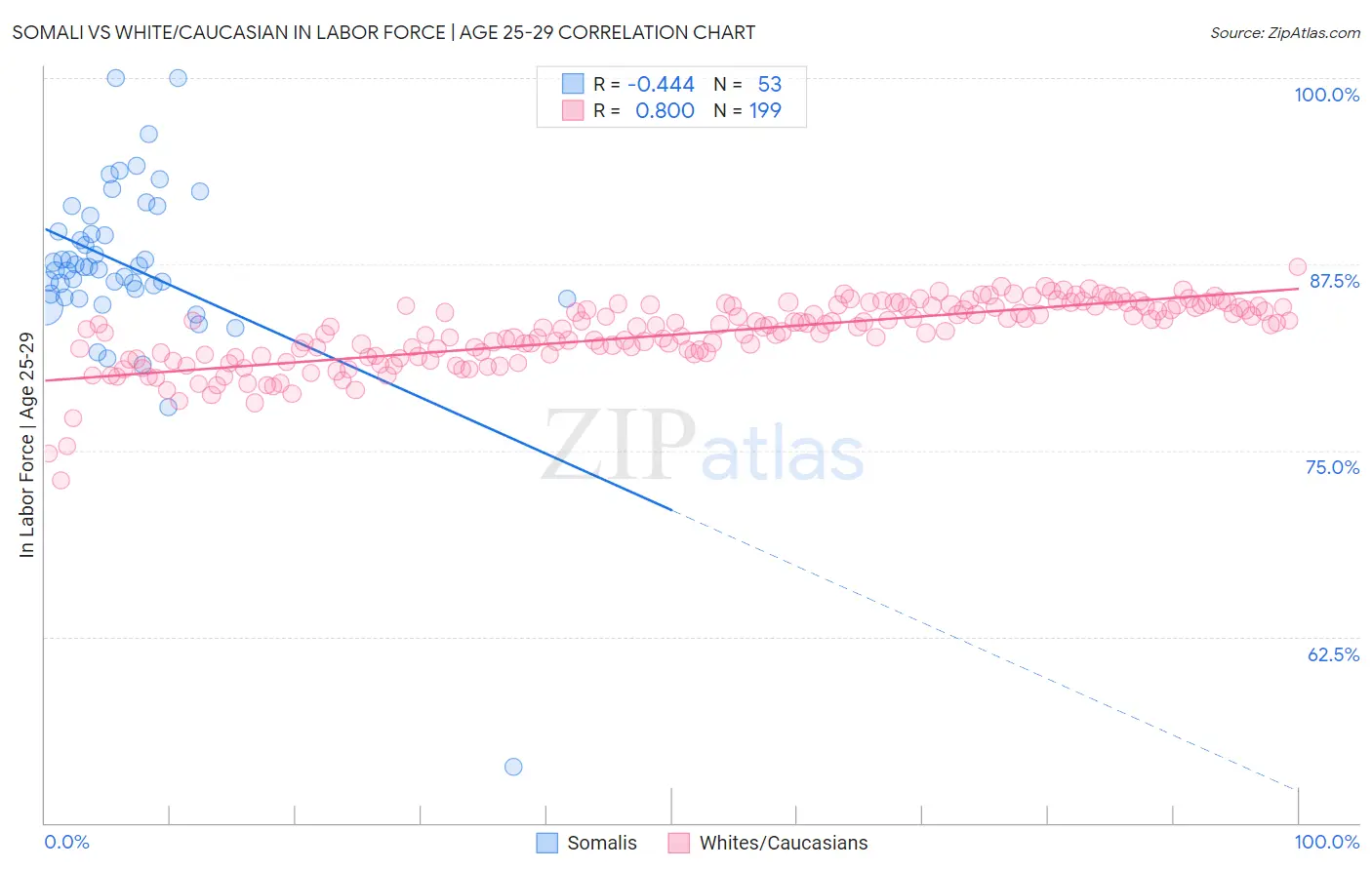 Somali vs White/Caucasian In Labor Force | Age 25-29