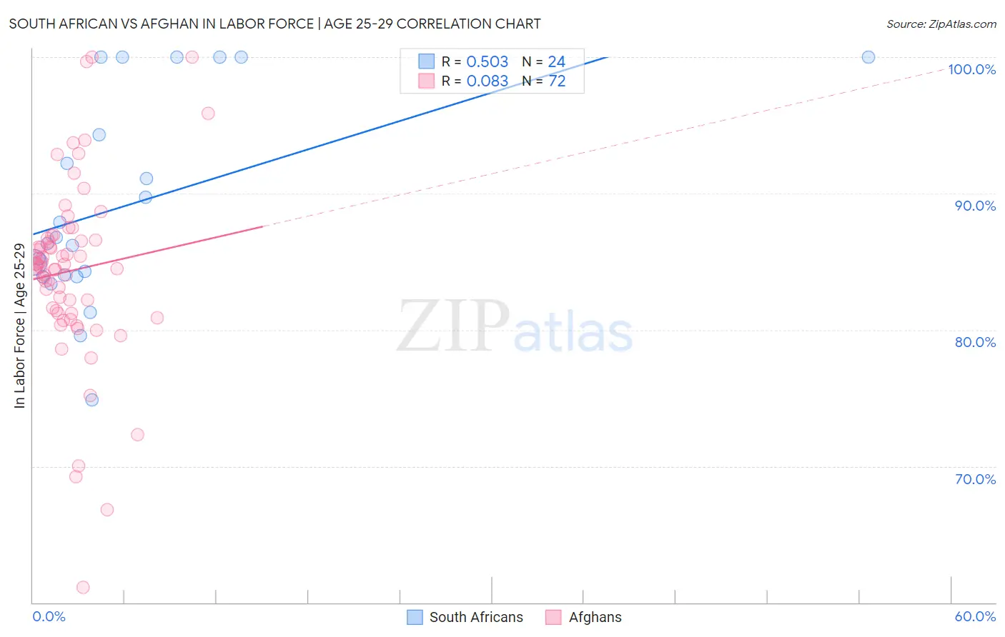 South African vs Afghan In Labor Force | Age 25-29