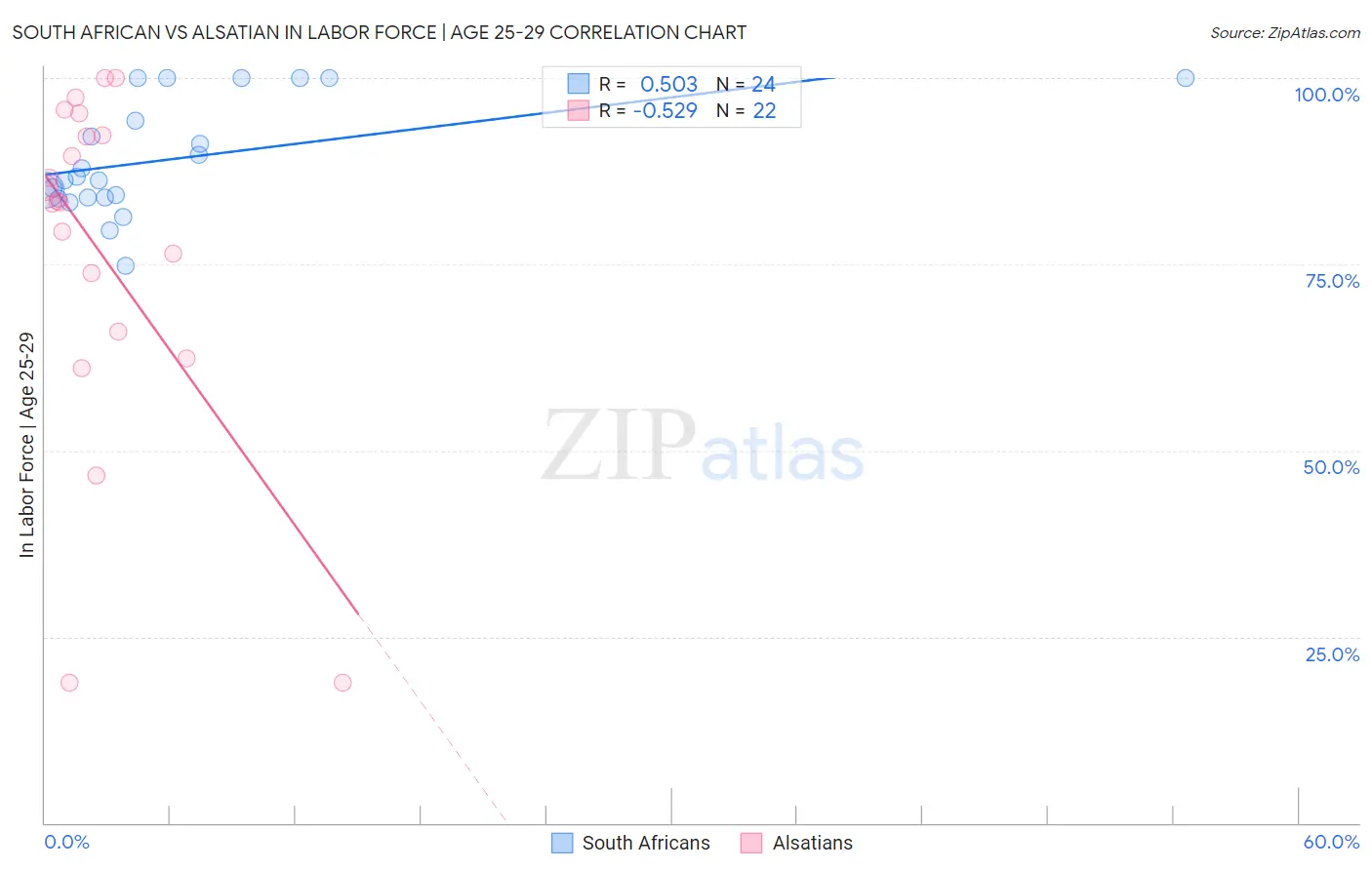 South African vs Alsatian In Labor Force | Age 25-29