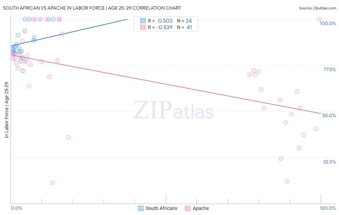 South African vs Apache In Labor Force | Age 25-29