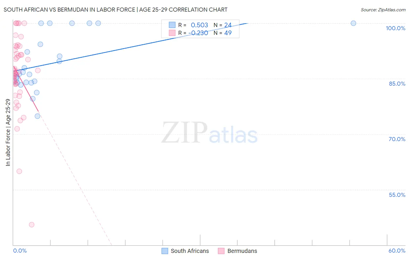 South African vs Bermudan In Labor Force | Age 25-29