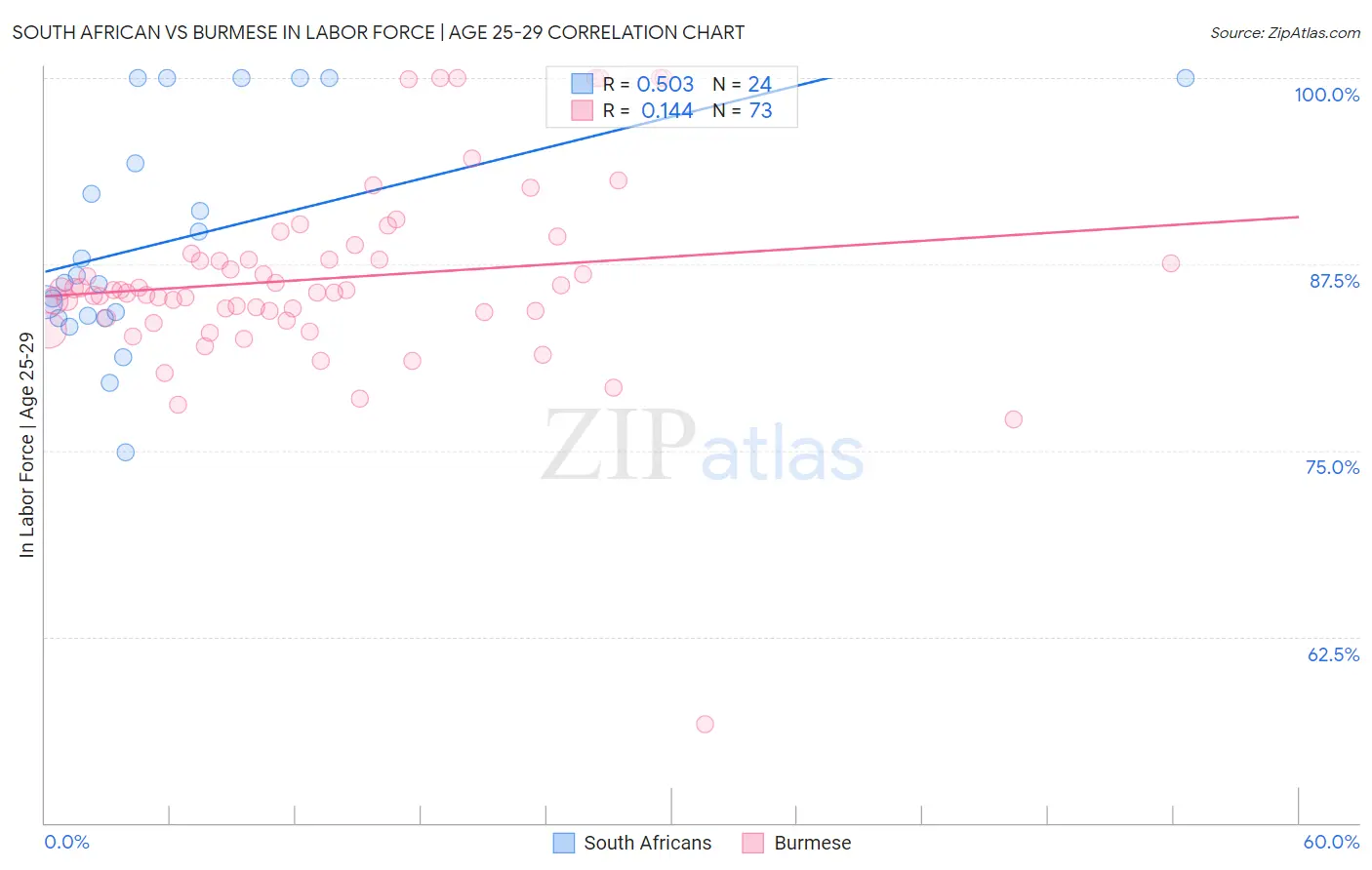 South African vs Burmese In Labor Force | Age 25-29