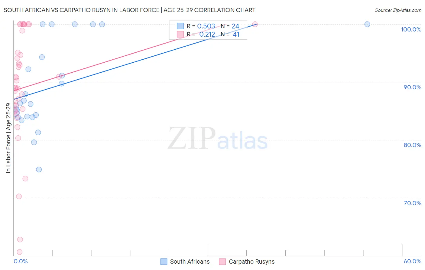 South African vs Carpatho Rusyn In Labor Force | Age 25-29