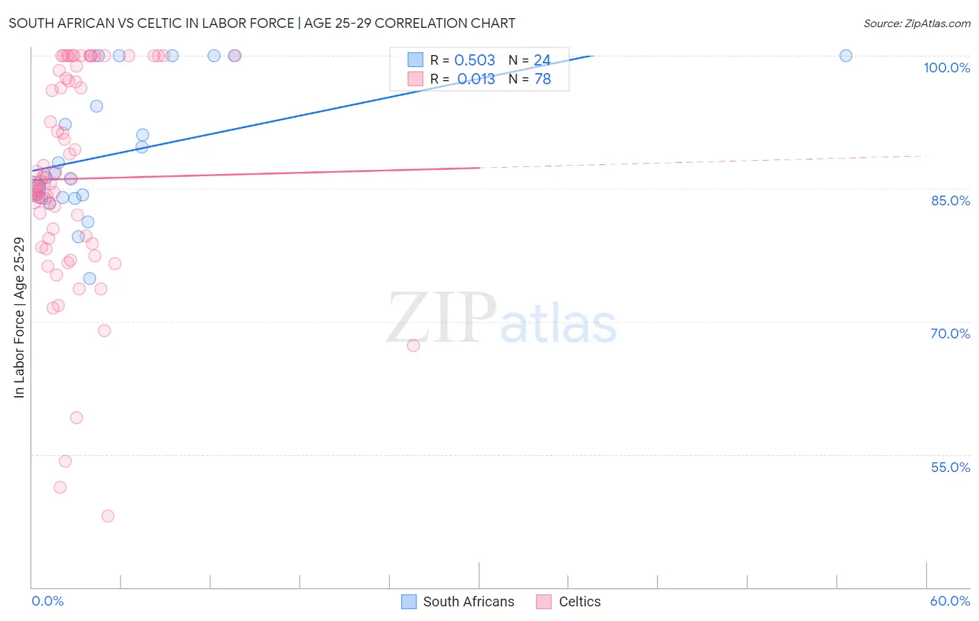 South African vs Celtic In Labor Force | Age 25-29