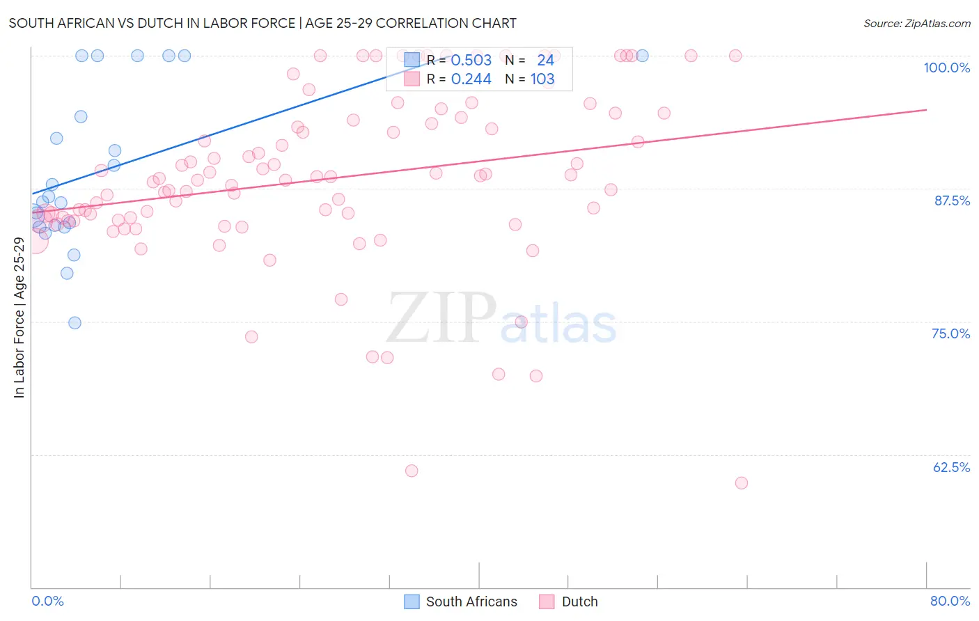 South African vs Dutch In Labor Force | Age 25-29