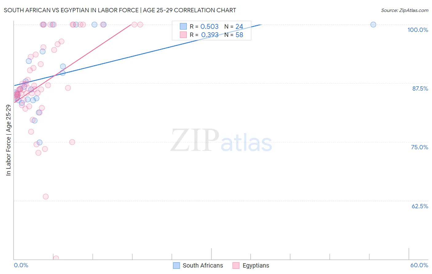 South African vs Egyptian In Labor Force | Age 25-29