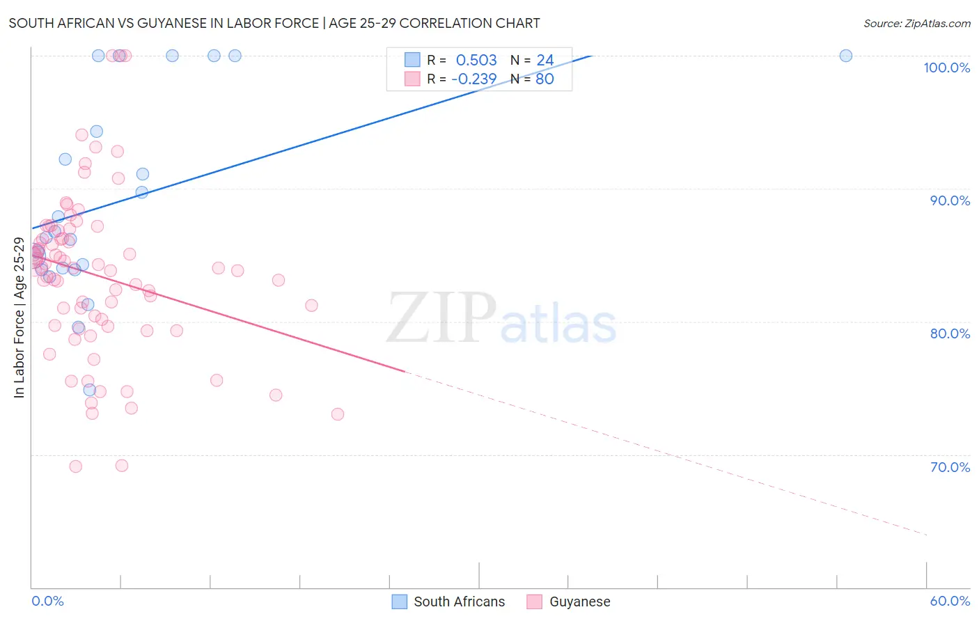 South African vs Guyanese In Labor Force | Age 25-29