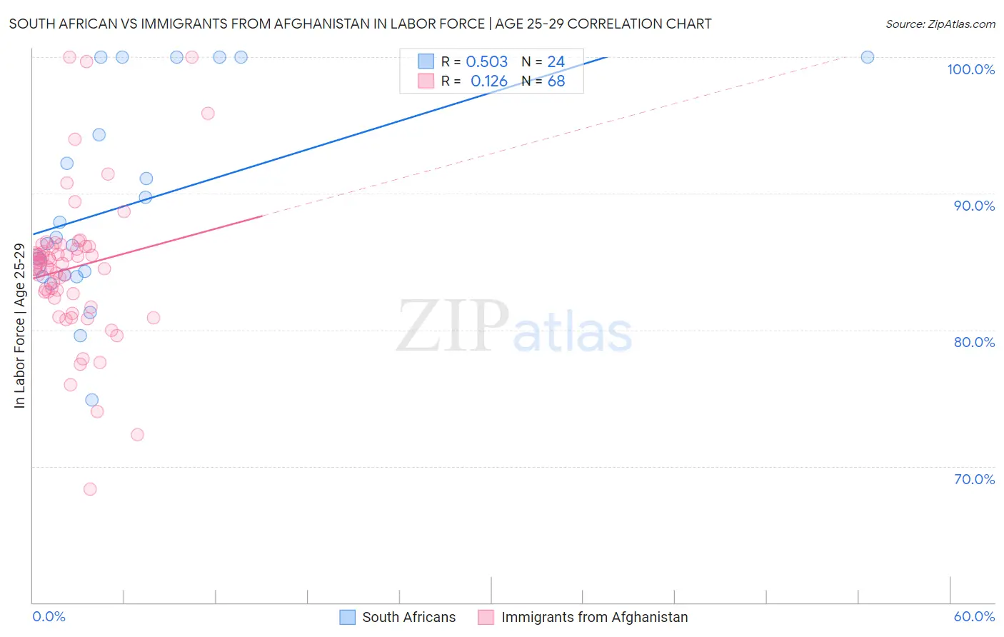 South African vs Immigrants from Afghanistan In Labor Force | Age 25-29