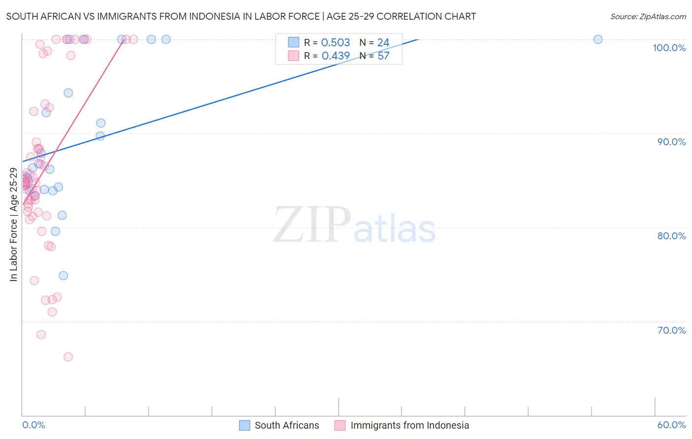 South African vs Immigrants from Indonesia In Labor Force | Age 25-29