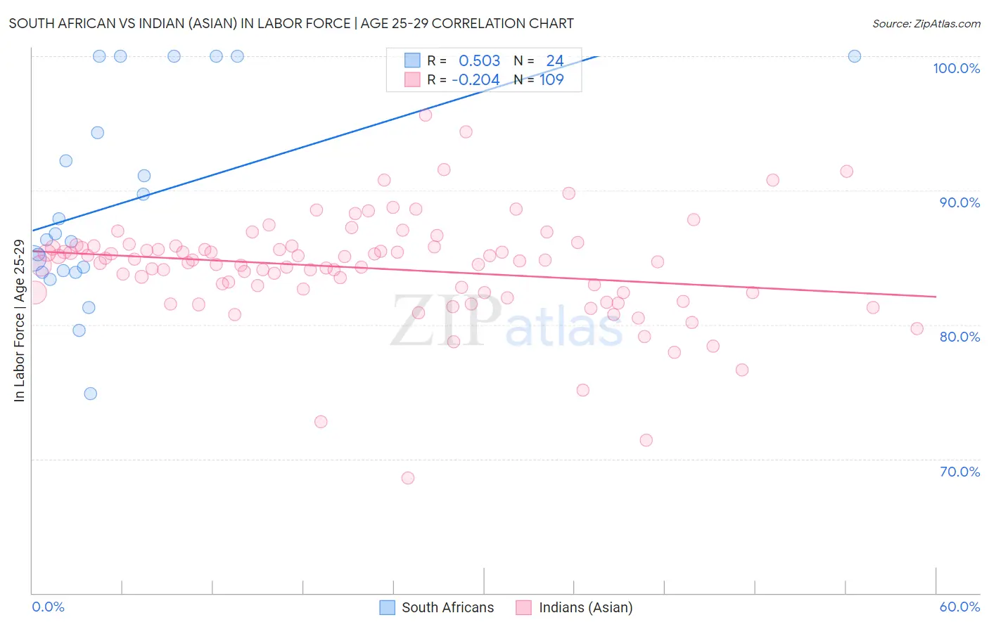 South African vs Indian (Asian) In Labor Force | Age 25-29