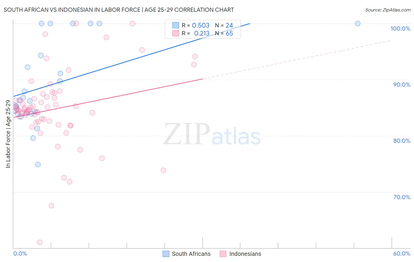 South African vs Indonesian In Labor Force | Age 25-29