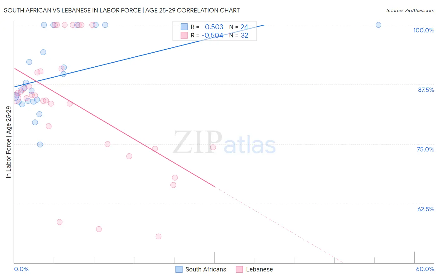 South African vs Lebanese In Labor Force | Age 25-29