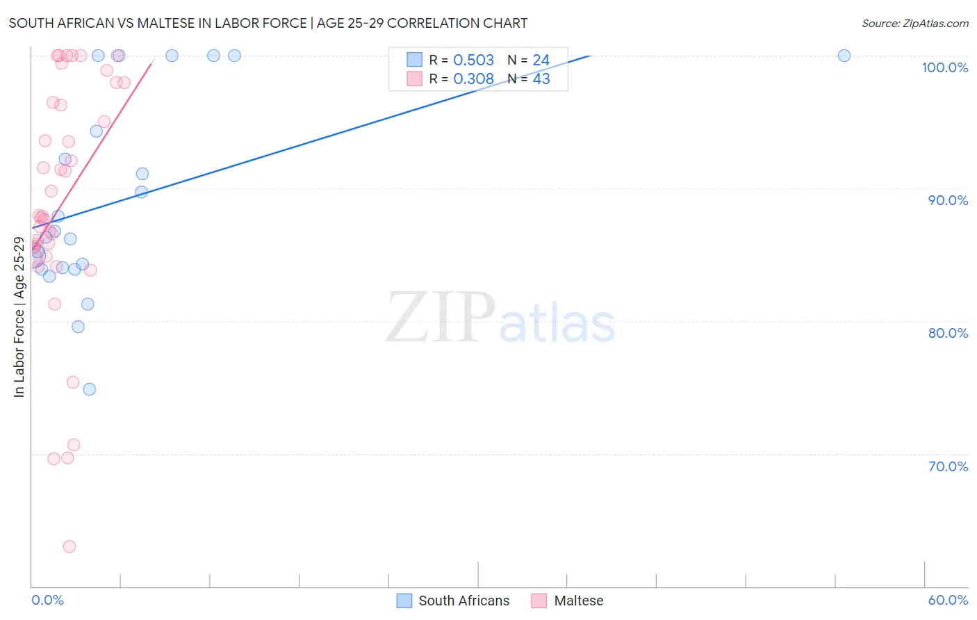 South African vs Maltese In Labor Force | Age 25-29