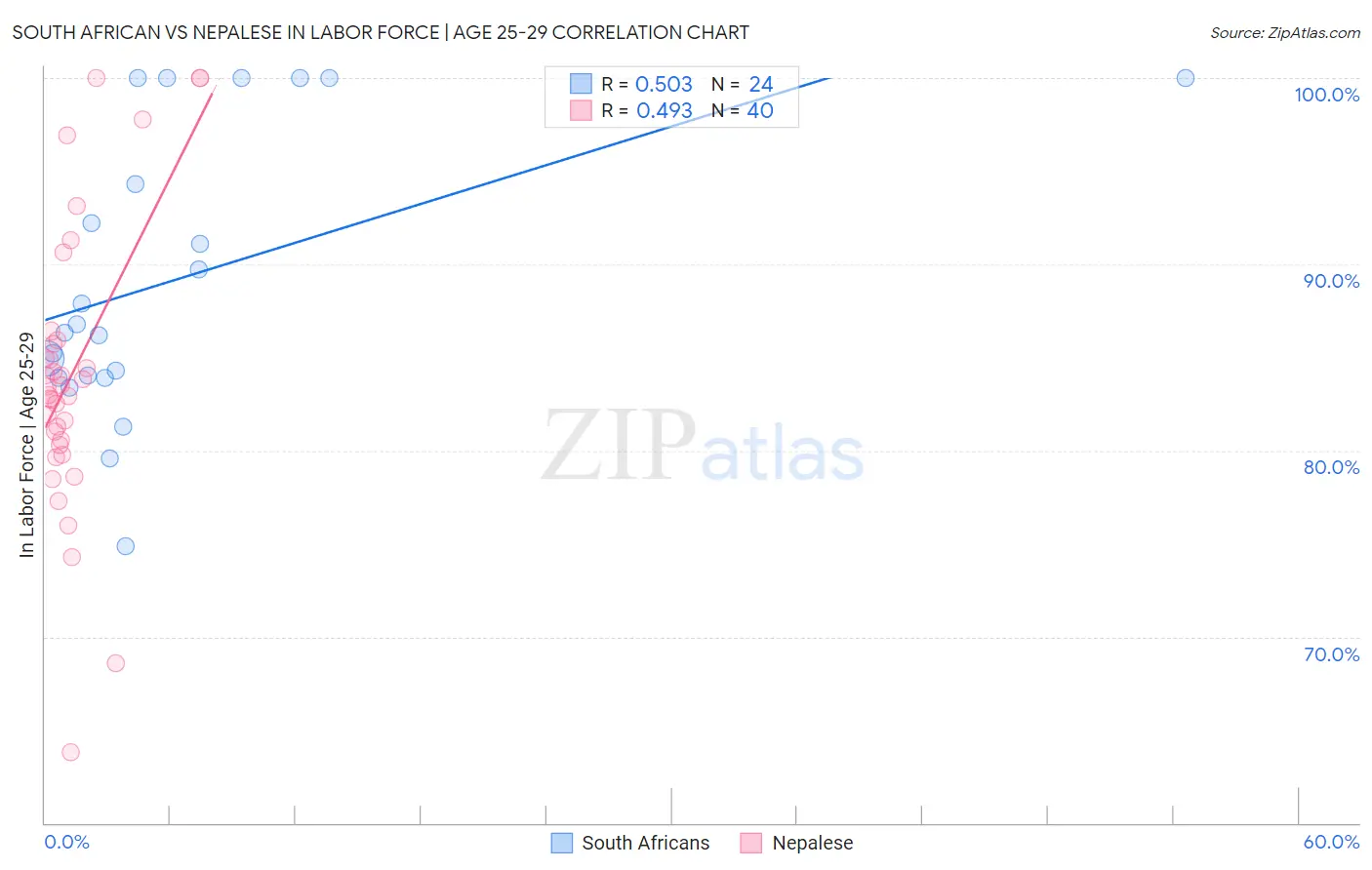 South African vs Nepalese In Labor Force | Age 25-29