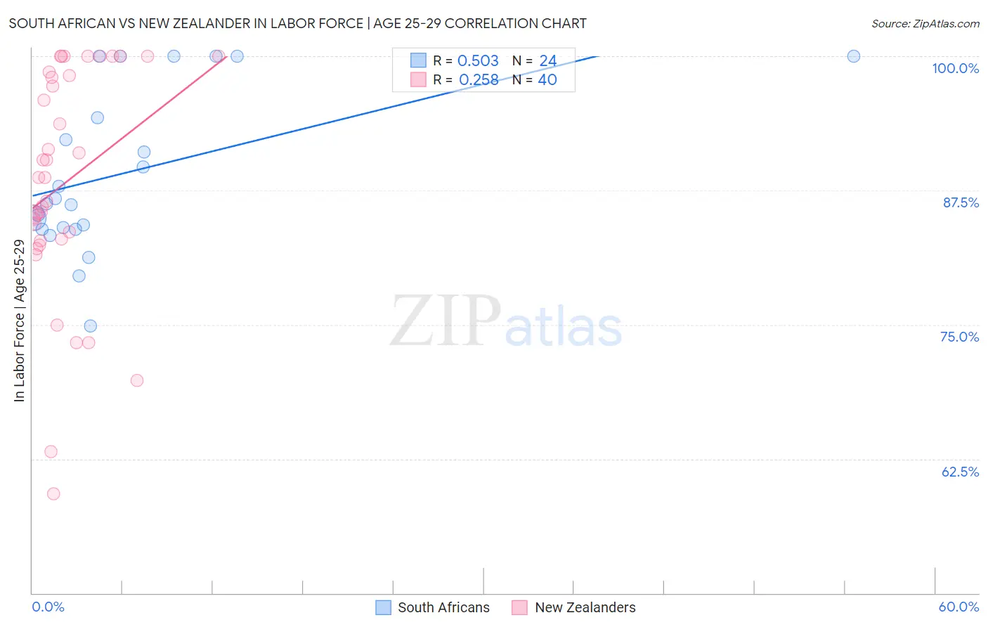 South African vs New Zealander In Labor Force | Age 25-29