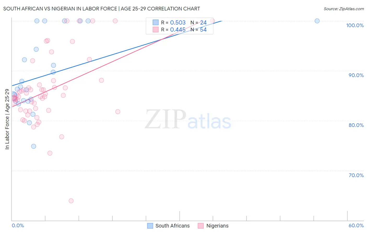 South African vs Nigerian In Labor Force | Age 25-29